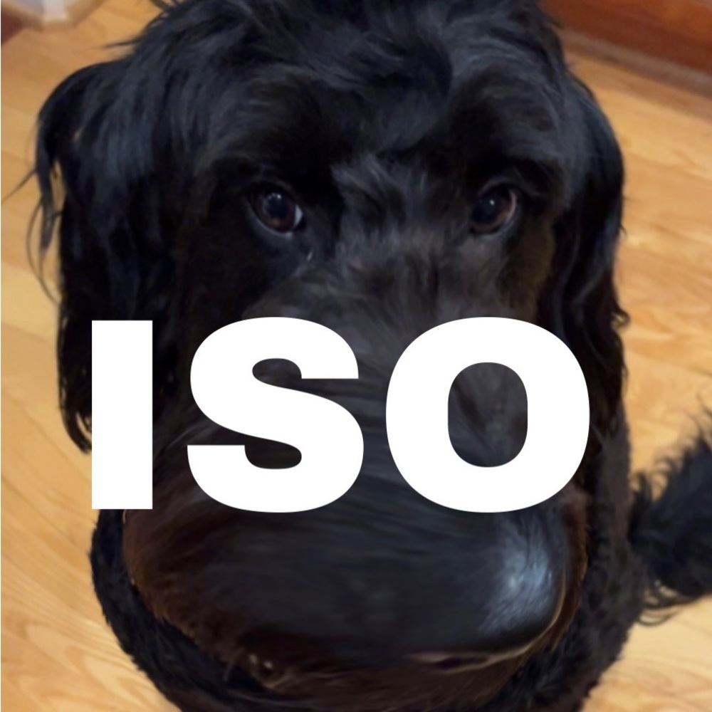 Iso